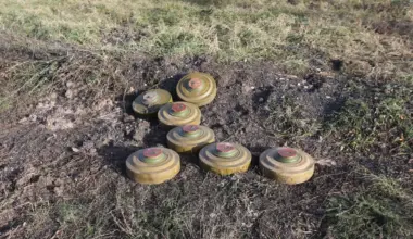 18 ofiar dziennie. Szokujące dane z Brazylii