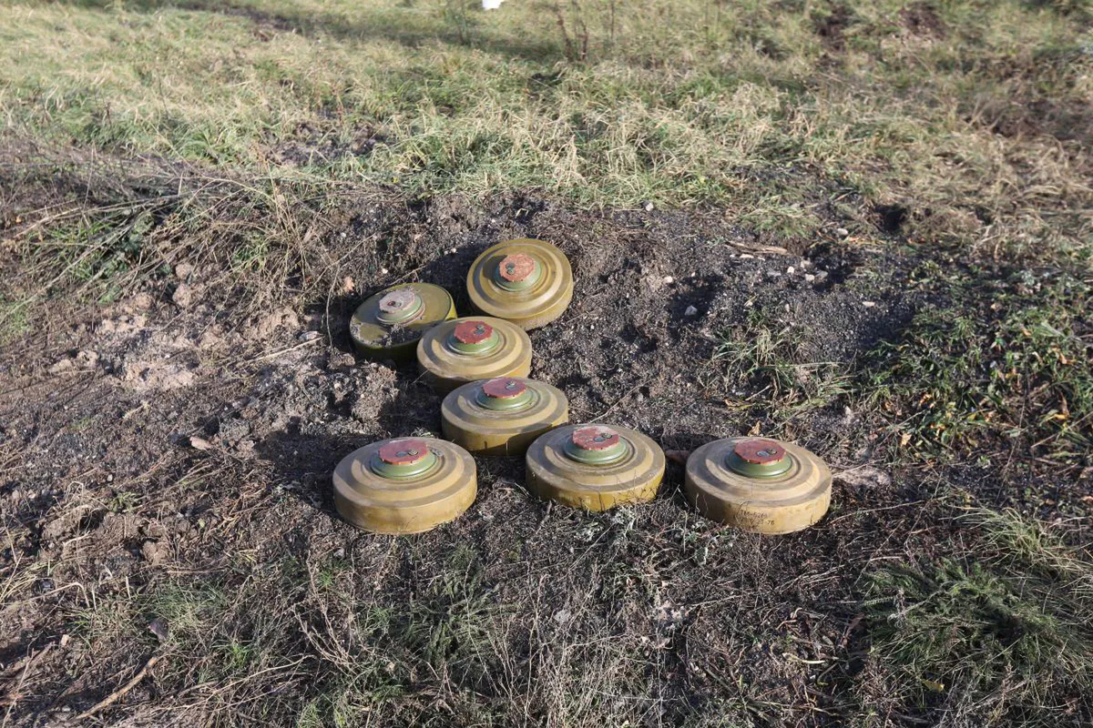 18 ofiar dziennie. Szokujące dane z Brazylii