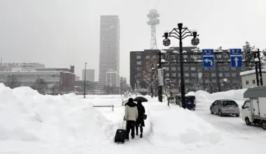 Szok. Pies przywiązany do kosza! Na zewnątrz 10 stopni mrozu