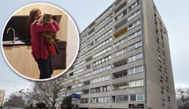 Wrocław. Pani Halina pięć miesięcy żyła na klatce. Teraz zaczyna nowe życie