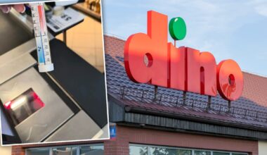 "Zimno jak w lodówce!". Pracownicy Dino pokazują termometry