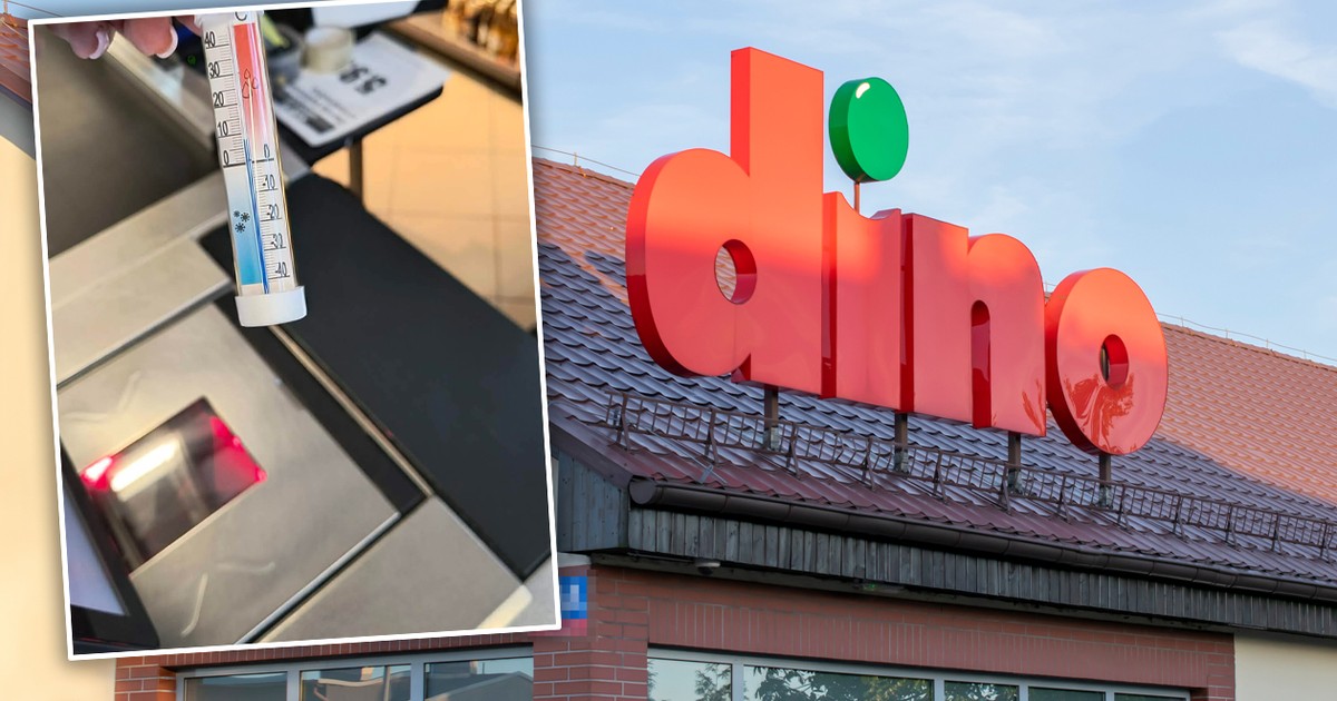 "Zimno jak w lodówce!". Pracownicy Dino pokazują termometry