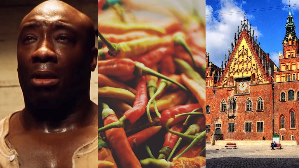 Nieziemsko trudny quiz wiedzy ogólnej. 9/13 to wynik dla piątkowych uczniów. Kogo zatem stać na maksa?