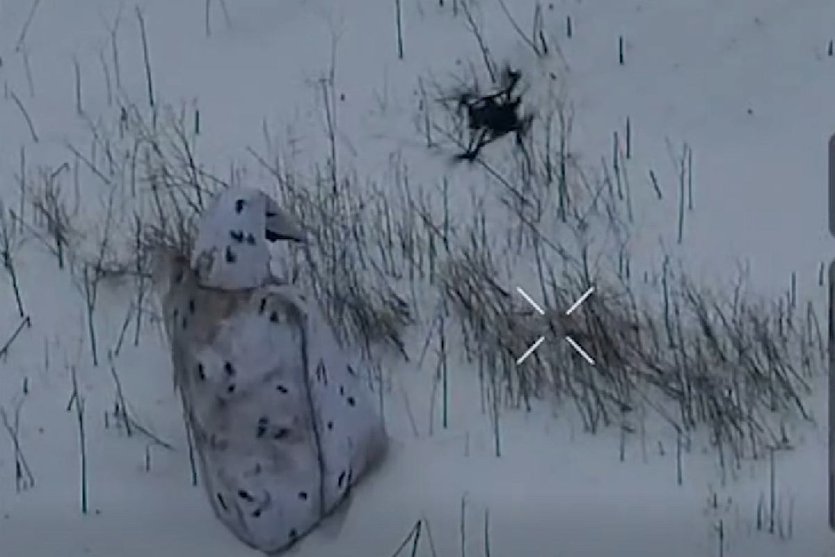 Rosjanie wysłali 'pingwina' na front. Ukraińcy opublikowali nagranie