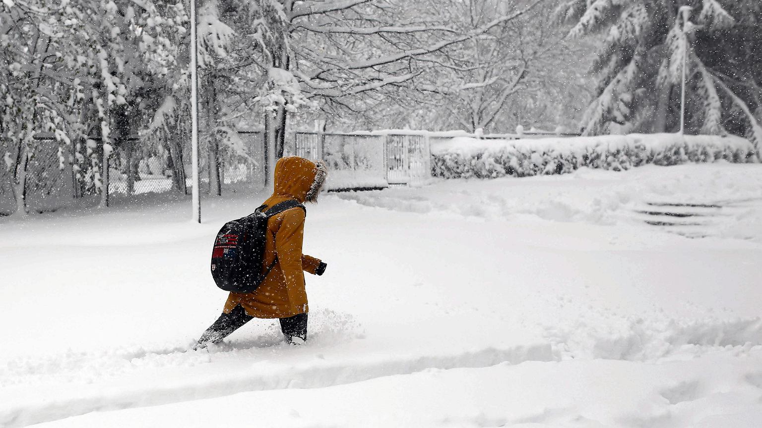 Rodzice chcą otwartych szkół. 'Do pracy te nie pójdę, bo mrozy?'