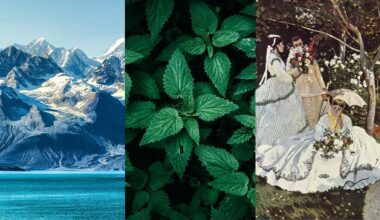 Ten quiz wiedzy ogólnej rozbudzi twoje szare komórki. Wynik powyżej 7/12 to powód do dumy!