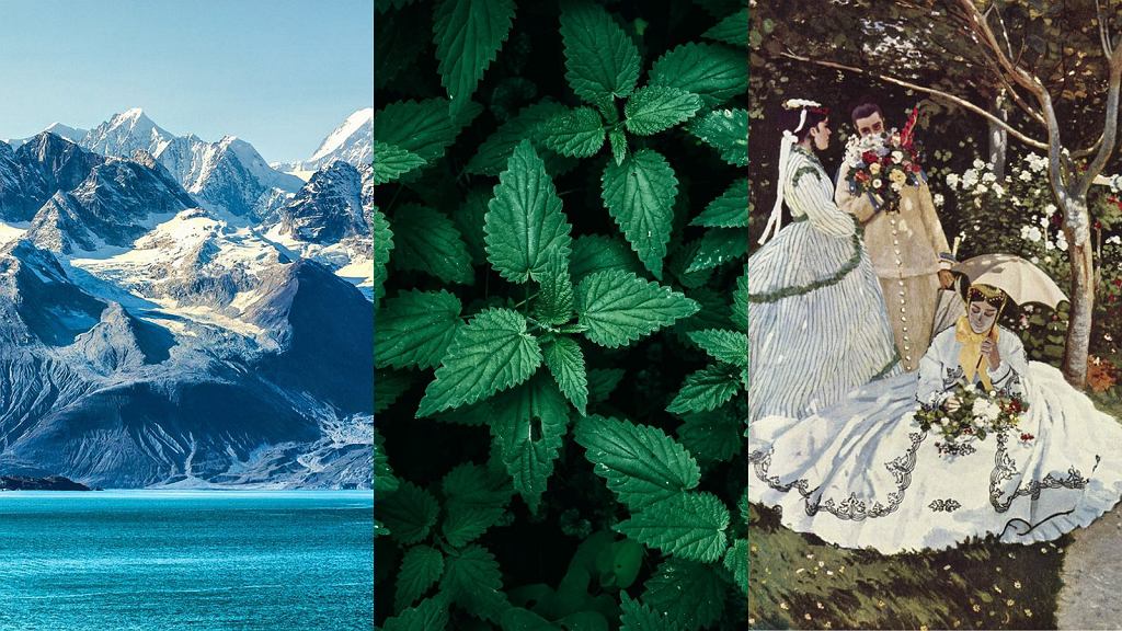 Ten quiz wiedzy ogólnej rozbudzi twoje szare komórki. Wynik powyżej 7/12 to powód do dumy!