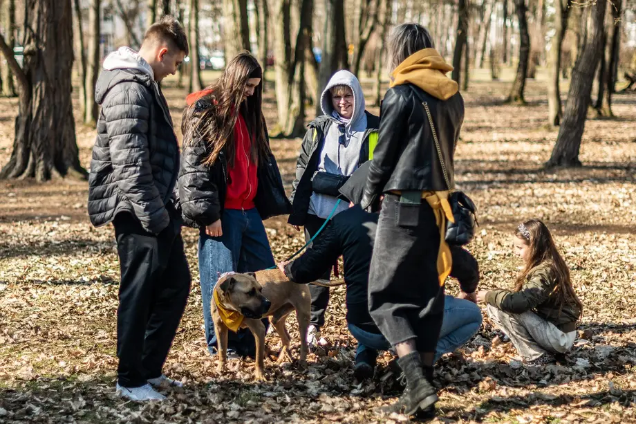"Psie Wagary" w Ogrodzie Branickich. Przyjdź i poznaj czworonogi ze schroniska