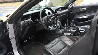 Ford Mustang we flocie policji