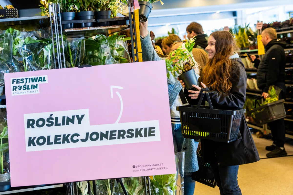 Rośliny od 5 zł na gdańskim stadionie. Polowanie na okazje potrwa tylko do niedzieli