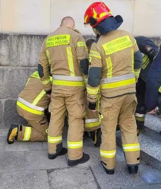 Na pomoc jeżowi ruszyli strażnicy miejscy i strażacy