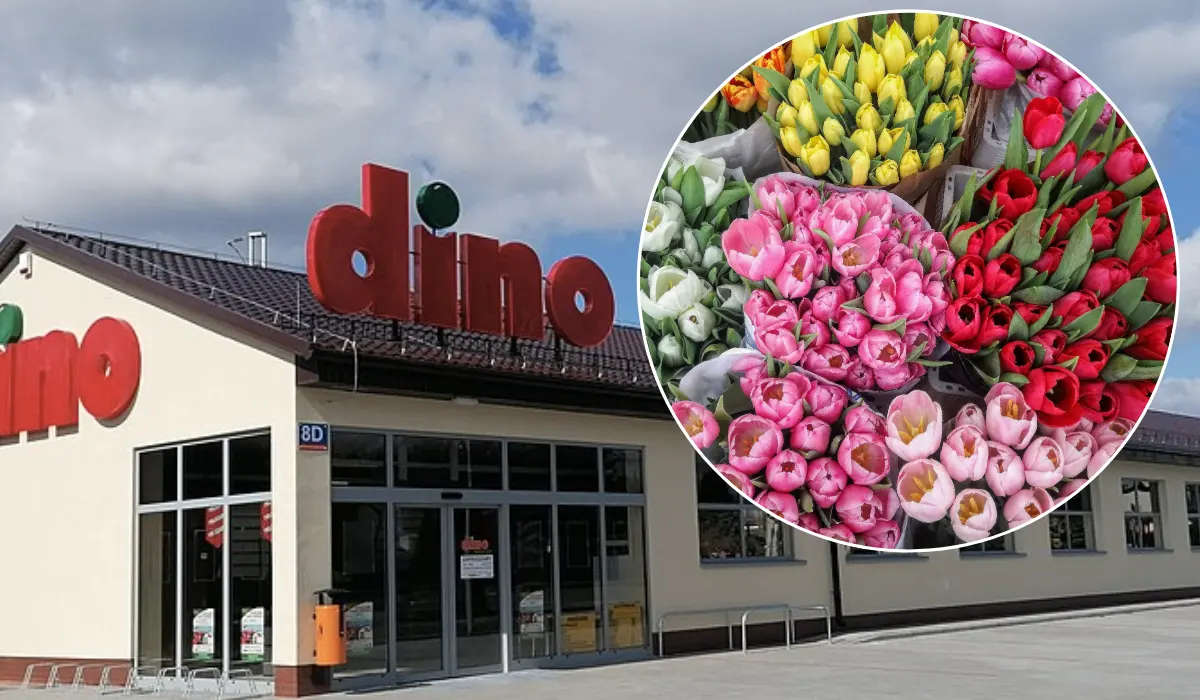 Wyjawili prawdę o kwiatach i owocach z Dino. Już wiadomo, skąd pochodzą