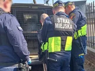Służby zatrzymały poszukiwanego mężczyznę