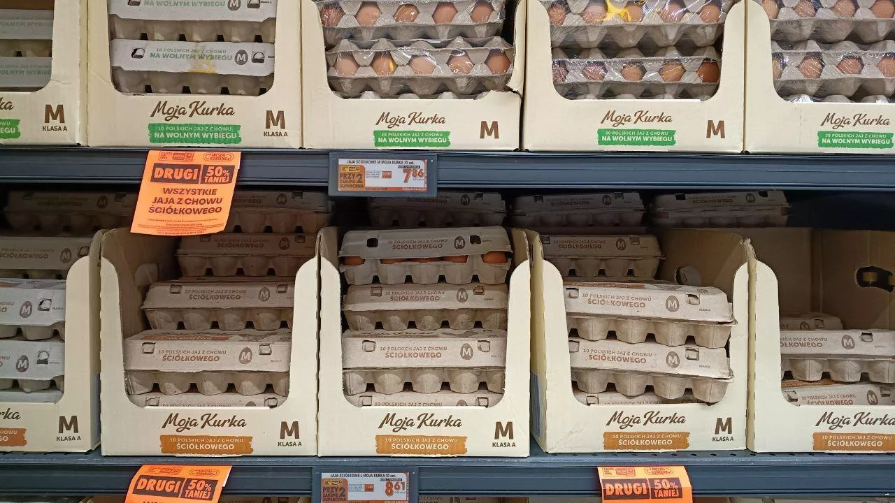 Jaja „trójki” wracają do Dino. Czy Biedronka, Lidl i Żabka zrobią to samo? Mamy odpowiedzi sieci