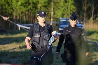 Międzyleś pożar lasu w powiecie wołomińskim