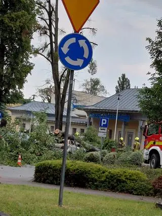Burze i silny wiatr w woj. opolskim