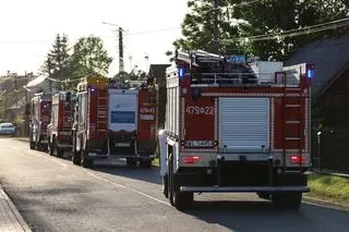 Międzyleś pożar lasu w powiecie wołomińskim
