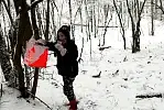 Harpuś, czyli z mapą po przygodę