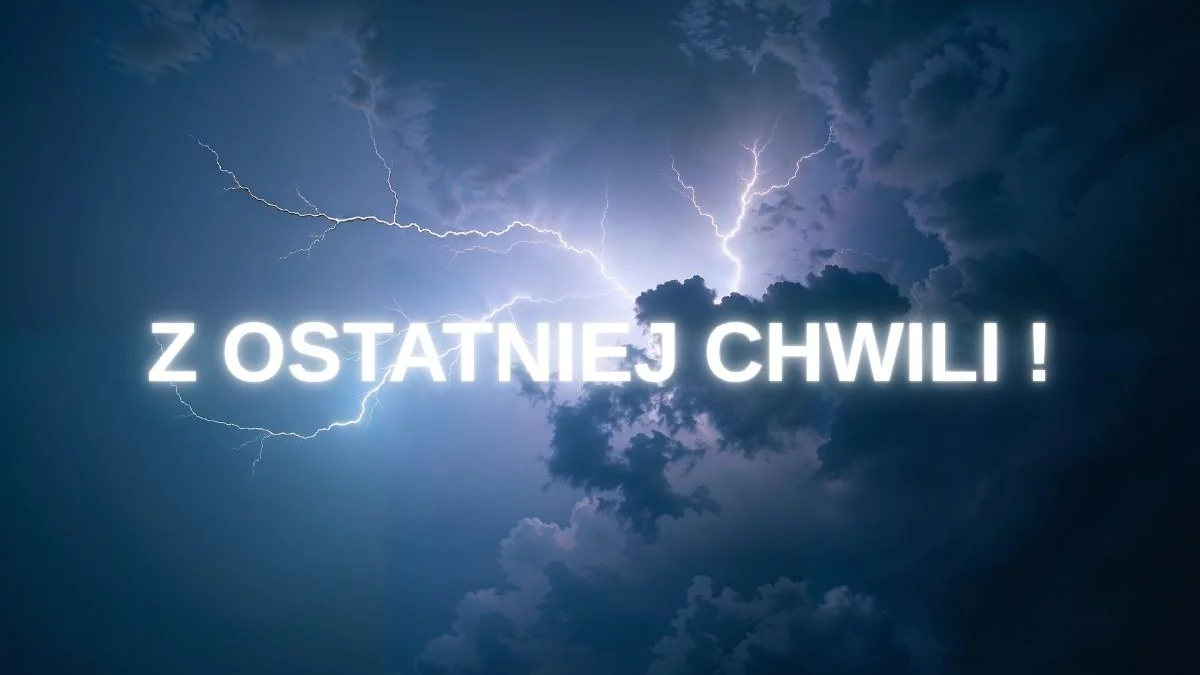 Najciekawsze wiadomości z Łodzi i aglomeracji łódzkiej w jednym miejscu. Codziennie ciekawe treści specjalnie dla Ciebie! Zobacz co się dzieje Dziś w Łodzi