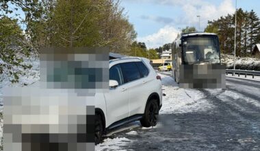 Puszcza Solska w ogniu. "Tego typu sytuacje będą coraz częstsze"