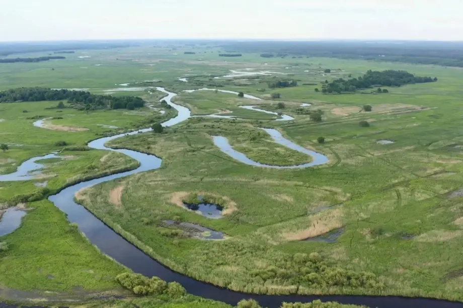 Podlaska przyroda w centrum Białegostoku. Piknik pełen atrakcji, Aktualności, Wiadomości Białystok Online Portal Miejski Białystok (Bialystok)