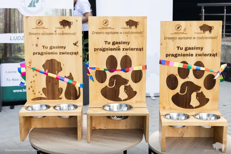 Upały nie oszczędzają zwierząt. W Białymstoku stanęły poidełka