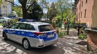 Dziki pojawiły się na placu zabaw na Bemowie
