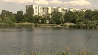 Jeziorko Balaton na Gocławiu