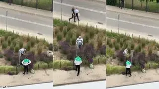 W biały dzień wyrywali kwiaty z rabaty przy ul. Łochowskiej. "Karygodne zachowanie"