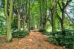 Park na Aniołkach upamiętnia XXV-lecie istnienia Polski Ludowej