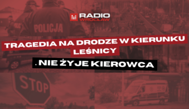 Śmiertelny wypadek na ul. Średzkiej we Wrocławiu. Auto wypadło z jezdni i uderzyło w drzewo