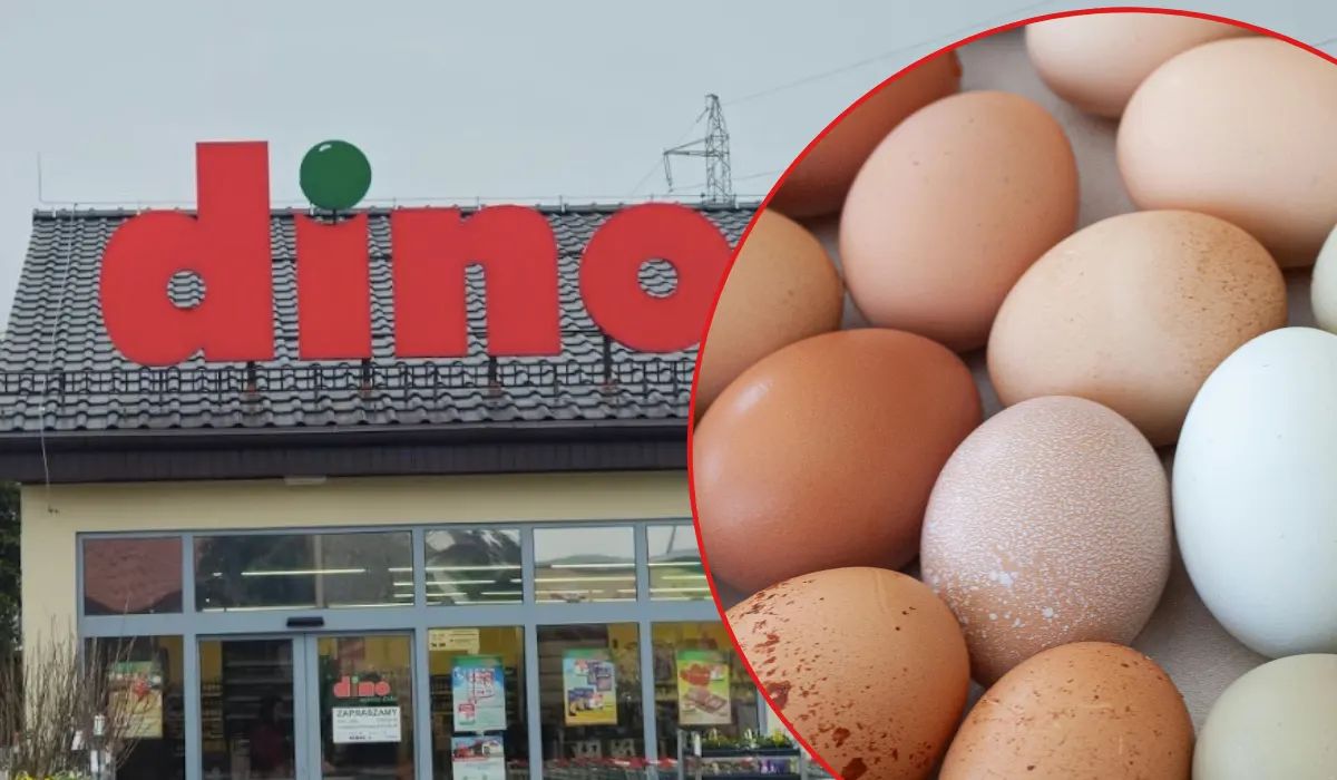 Jajka z chowu klatkowego znów w Dino. Sieć się tłumaczy