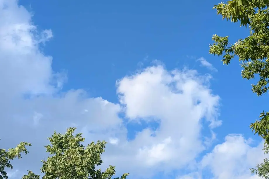 Jak Białystok ma radzić sobie z upałem i ulewami? Miasto pyta mieszkańców