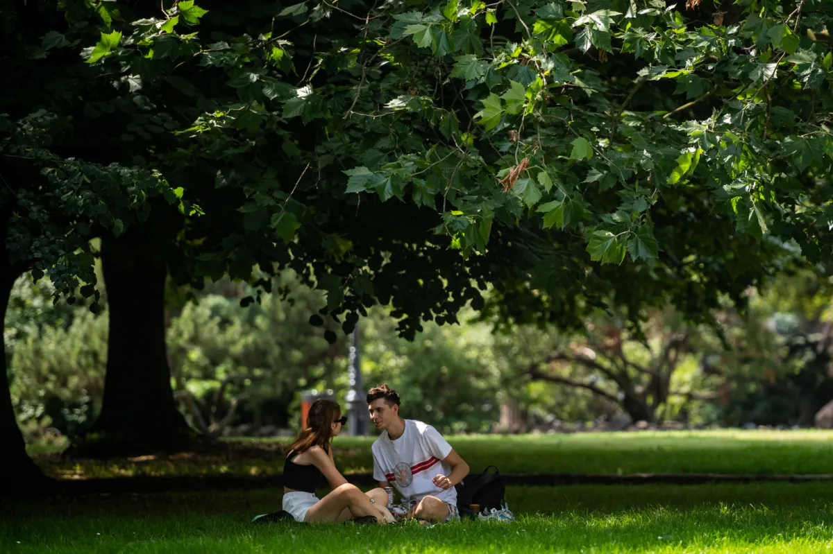 7 miejsc w Trójmieście idealnych na piknik