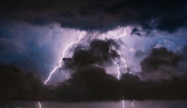 IMGW ostrzega: burze i silny deszcz w całej Lubelszczyźnie od niedzieli przez noc