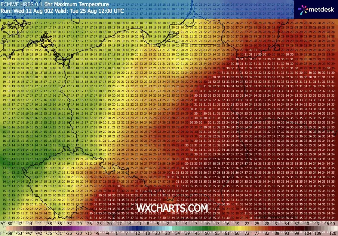 Prognoza temperatur na 25 sierpnia według modelu ECMWF