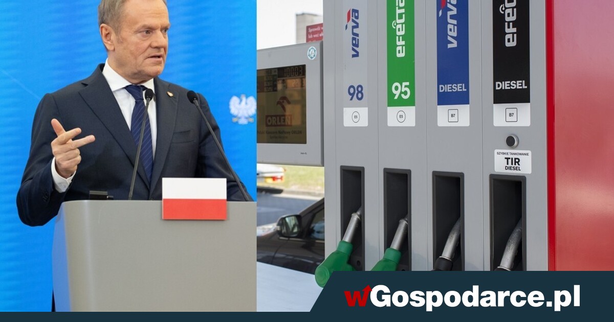 Tani chwyt rządu Tuska - wGospodarce.pl