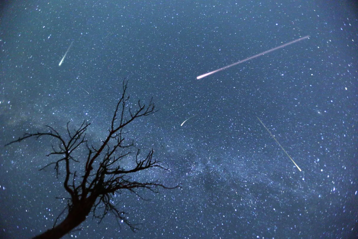 Perseidy 2026. Nawet 100 meteorów na godzinę. Tej nocy warto spojrzeć w niebo