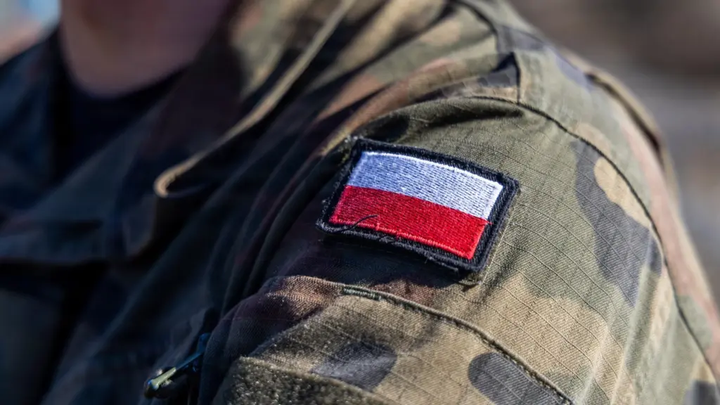 Ataki hybrydowe ze strony Rosji? Gen. Pacek: Oby nie było jak 1939 roku - Polska