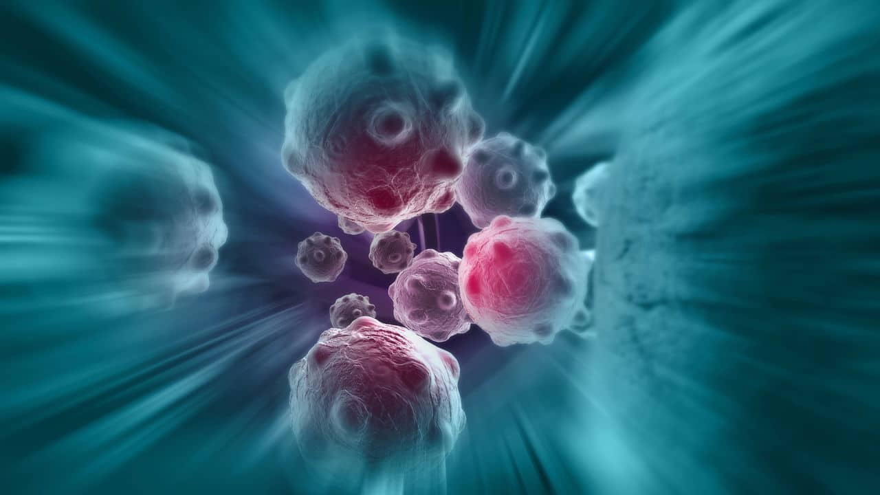 Alerta: alimento muito popular no Brasil pode estar associado ao câncer no intestino; entenda