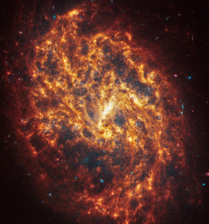 Galáxia espiral NGC 1087 — Foto: Nasa