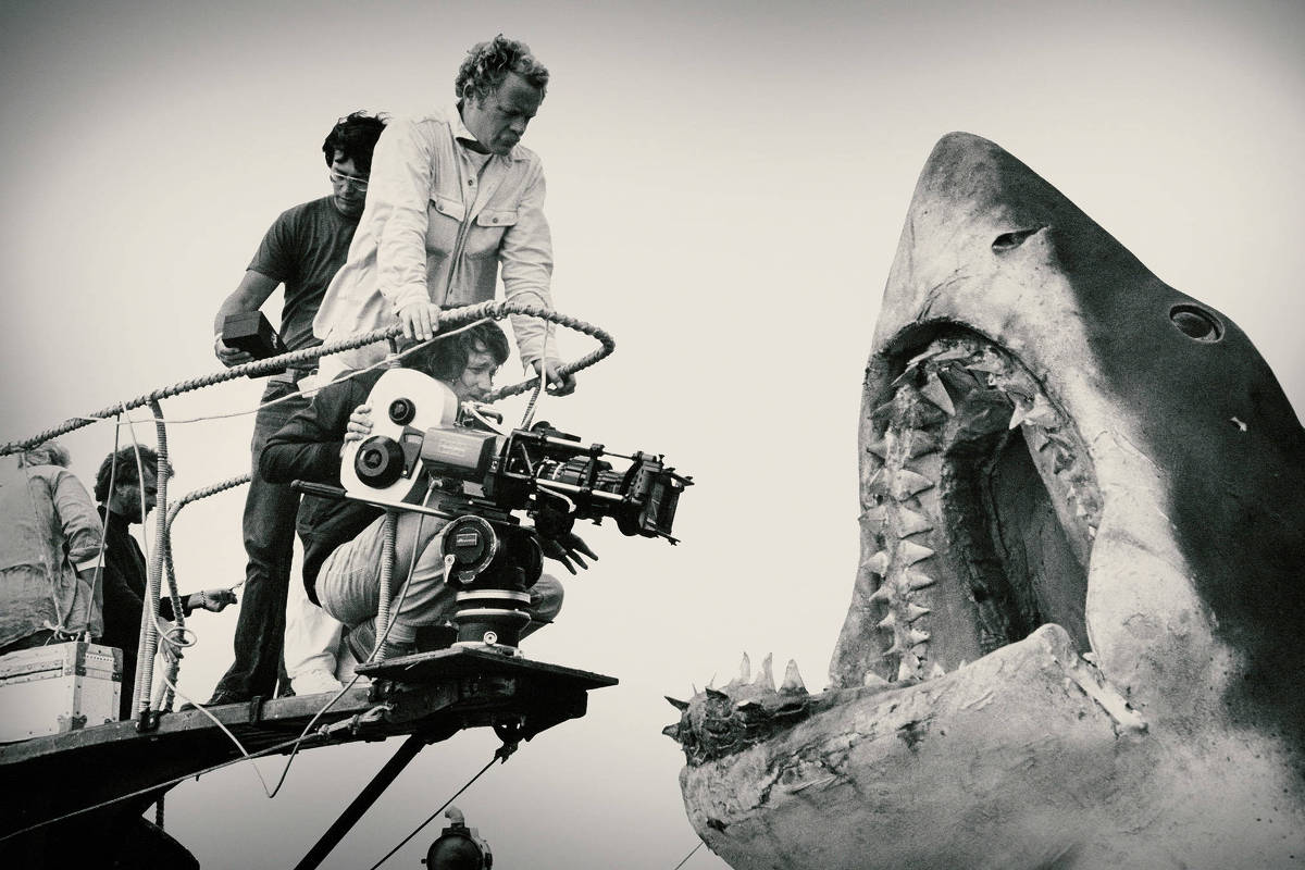 'Tubarão': Por que filme continua funcionando após 50 anos - 27/07/2025 - Cinema e Séries