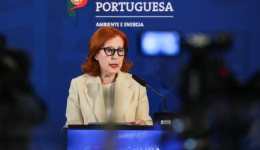 Pacotinho ou pacotão, como prevenir um novo apagão: o que une e separa a estratégia do Governo português do plano (chumbado) de Espanha?