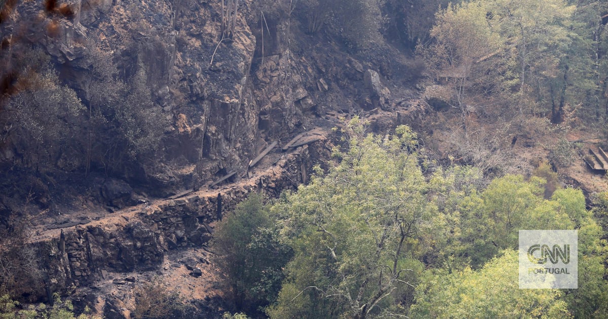 Passadiços do Paiva destruídos pelo incêndio de Arouca