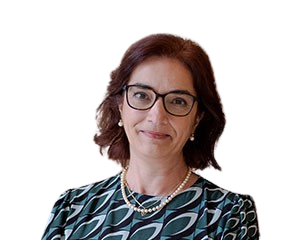 Trocar a toalha de praia pela bata de laboratório: 26 anos a descobrir a ciência | Opinião