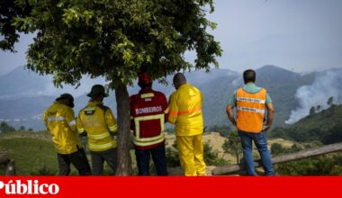 Incêndios: autarca de Ponte da Barca pede reforços para travar chamas | Incêndios