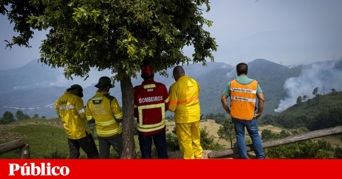 Incêndios: autarca de Ponte da Barca pede reforços para travar chamas | Incêndios