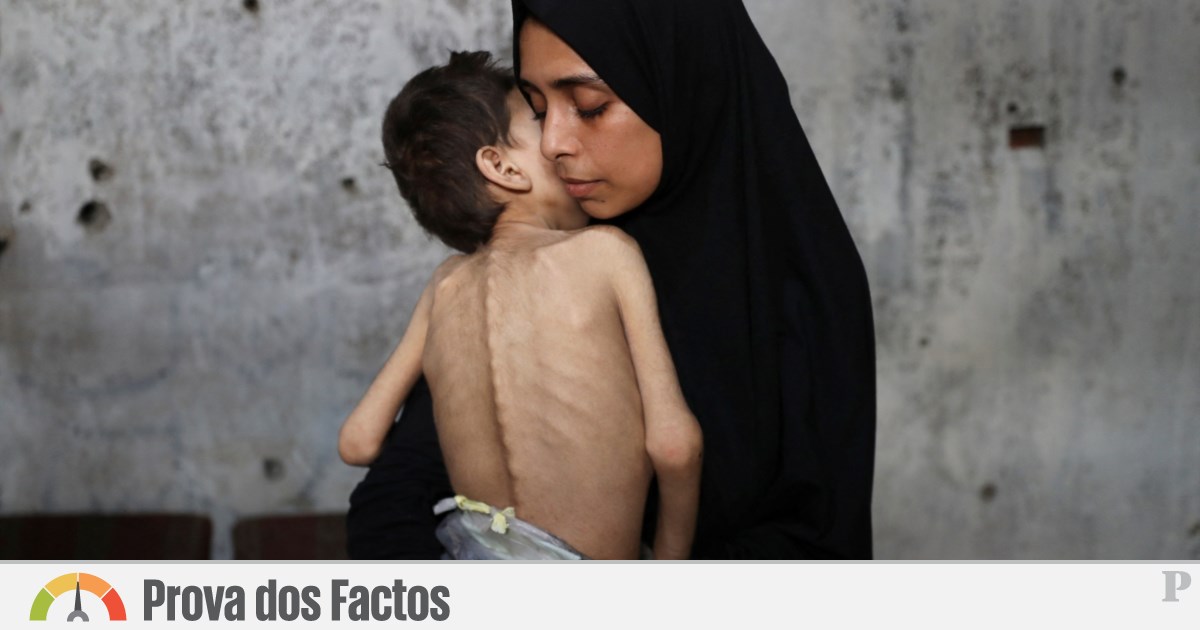 Fome em Gaza foi mais um pretexto para desinformação em tempo de guerra | Gaza