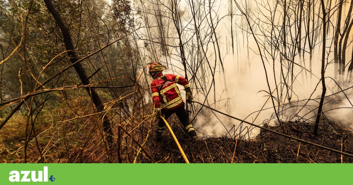 Incêndio em Ponte da Barca “está descontrolado” e há casas ameaçadas | Incêndios