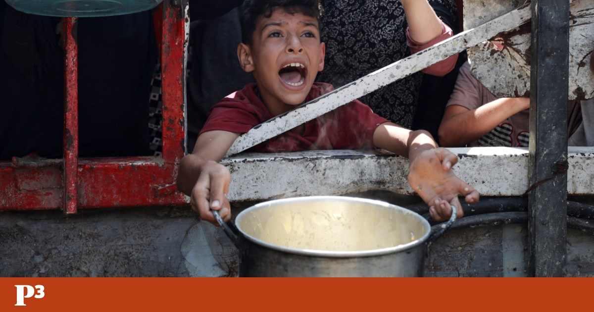 Faz barulho pela Palestina: junta-te à “panelada” nacional contra a fome em Gaza | Gaza